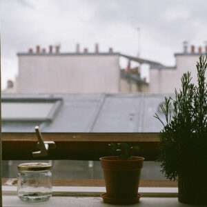vue des toits parisiens depuis une fenêtre (cendrier & plante)