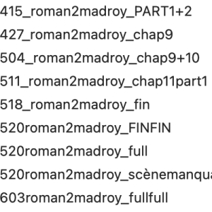 impression d'écran d'un fichier contenant les différentes versions d'un même roman, de la première version de la première partie à une version nommée "fullfull" (après une version "scène manquante et une autre "finfin")